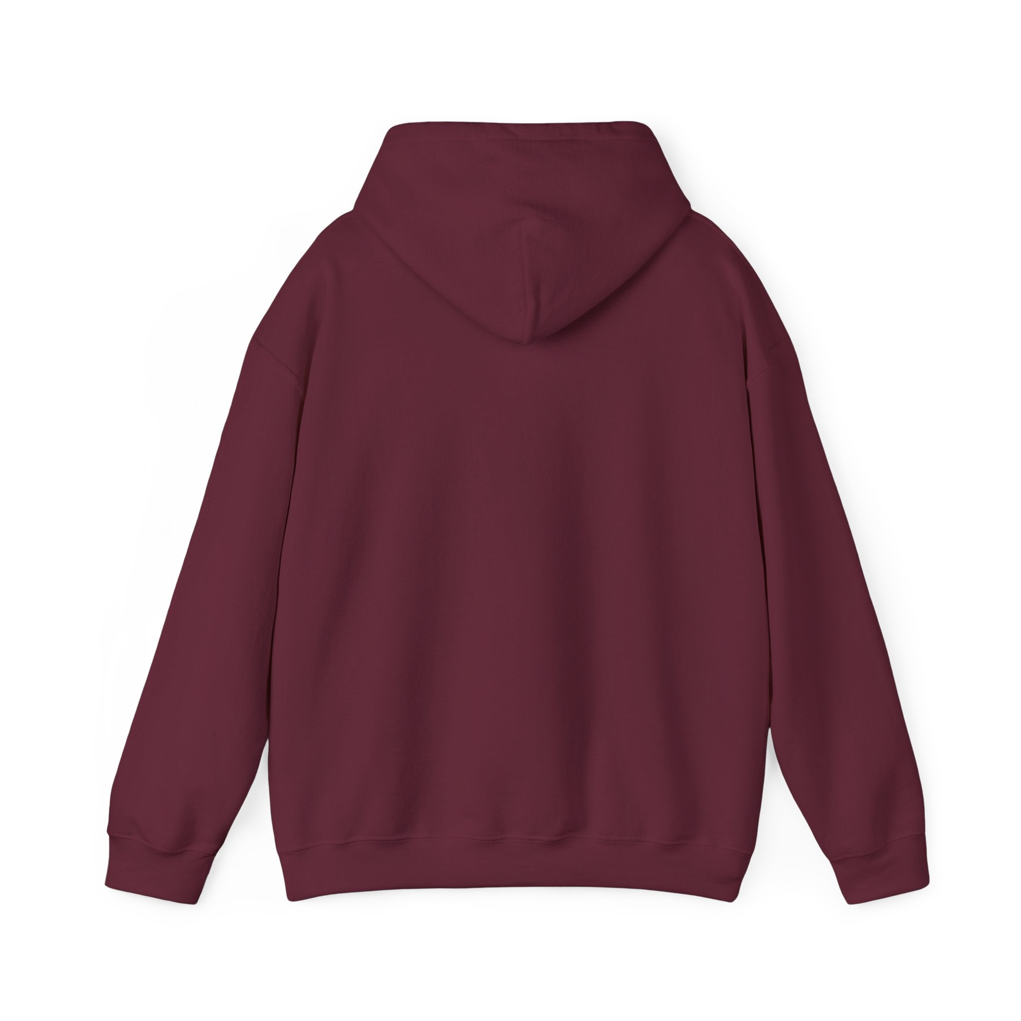 LBI Hoodie – Classic Beach Town Pullover