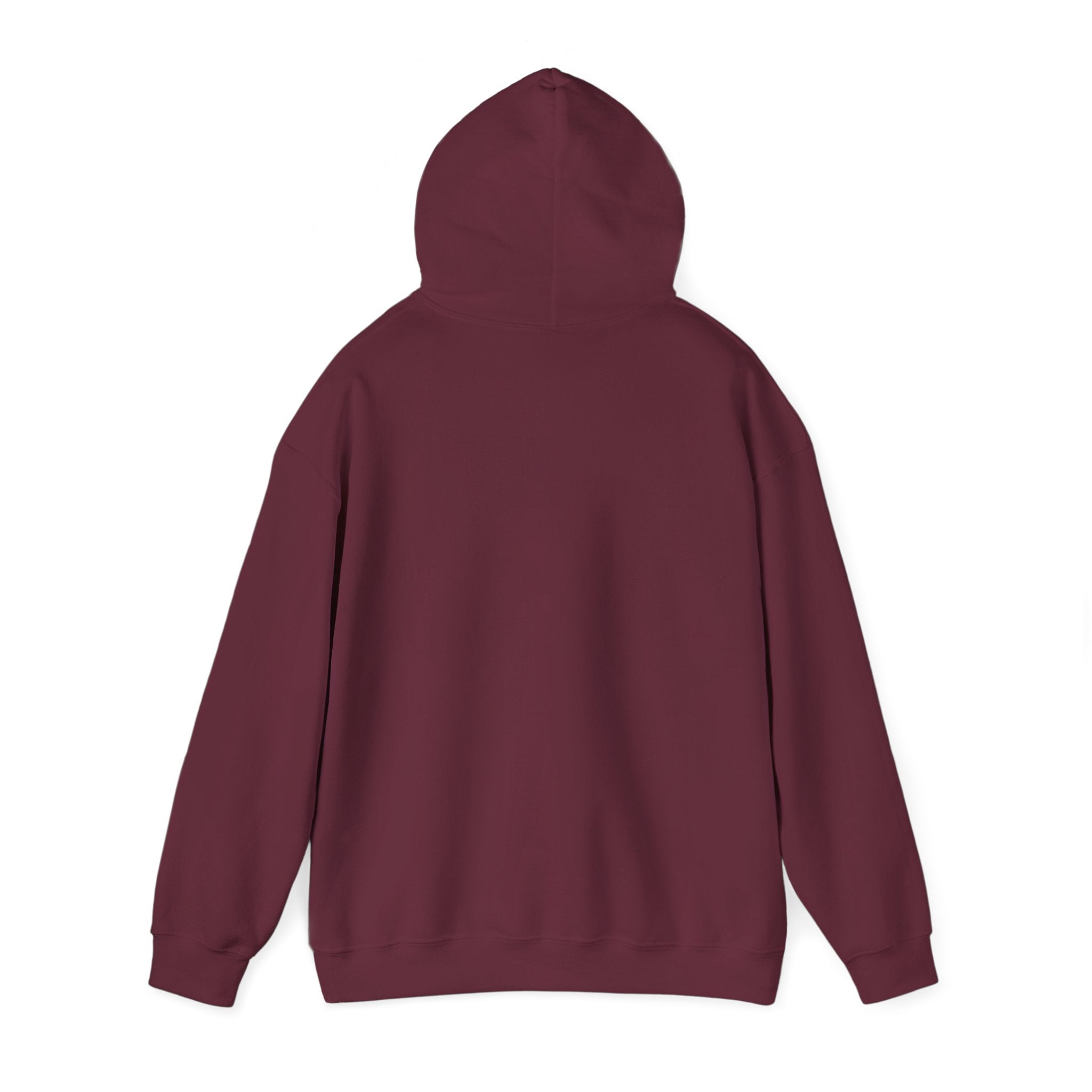 LBI Hoodie – Classic Beach Town Pullover