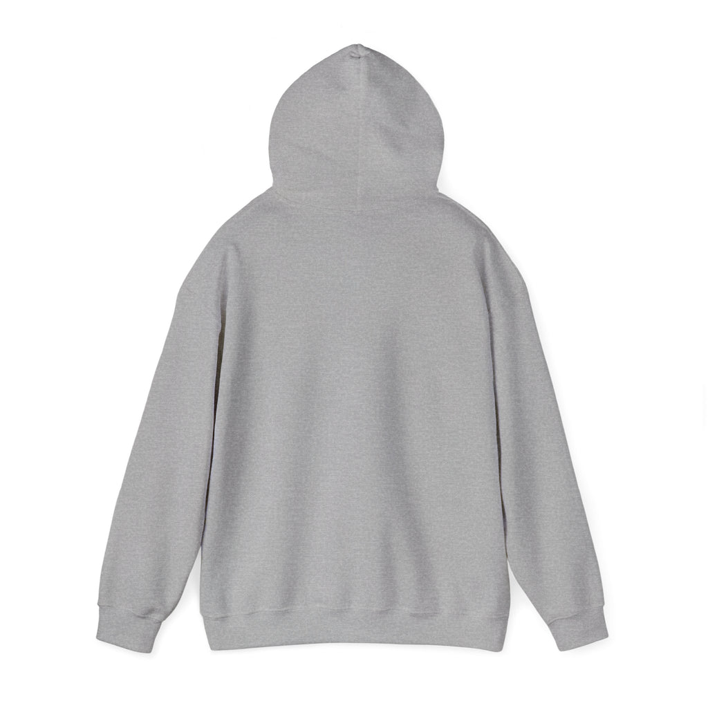 LBI Hoodie – Classic Beach Town Pullover