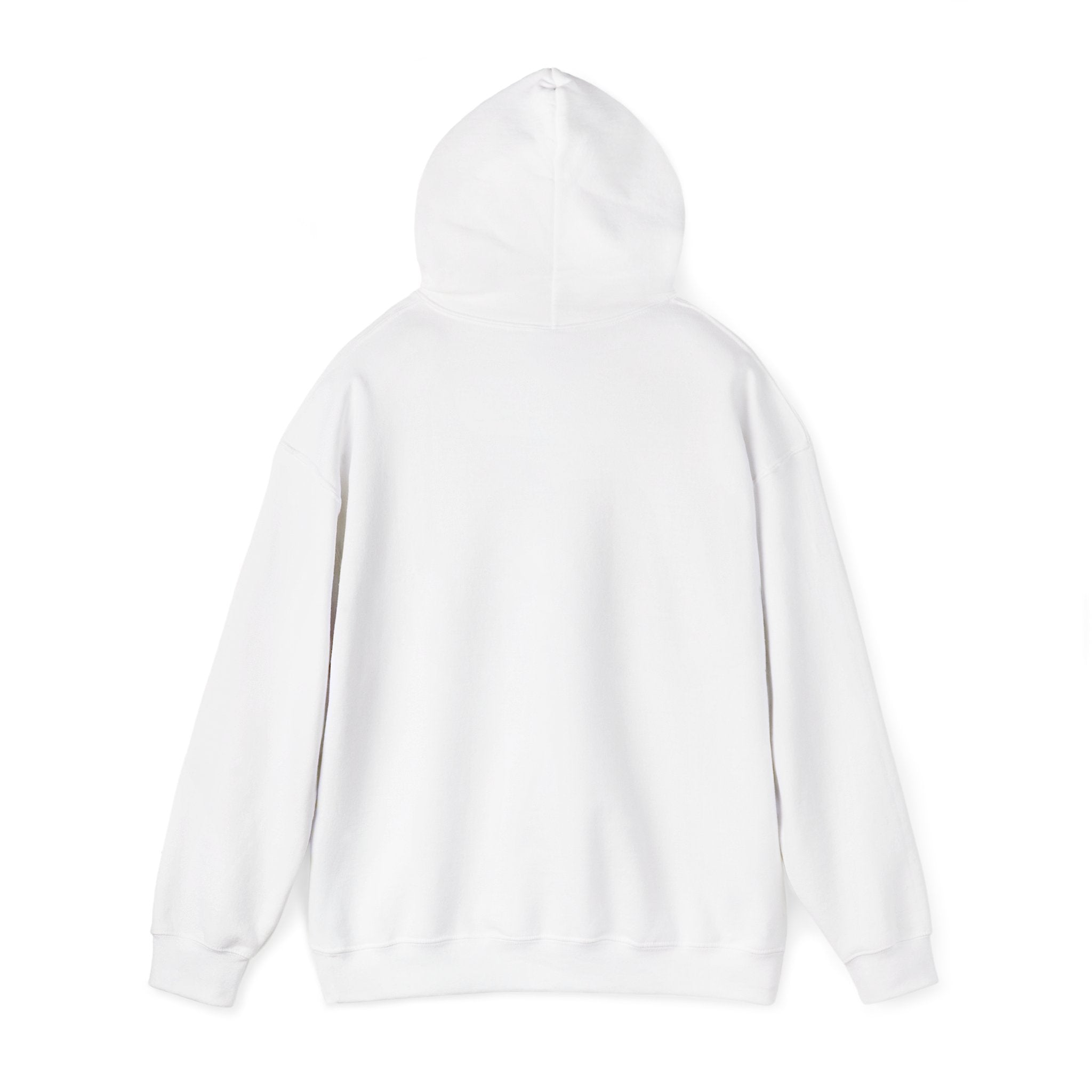 Trademarked "Lazy But Intelligent Hoodie" — Original Funny Beach Lounger Graphic Sweatshirt