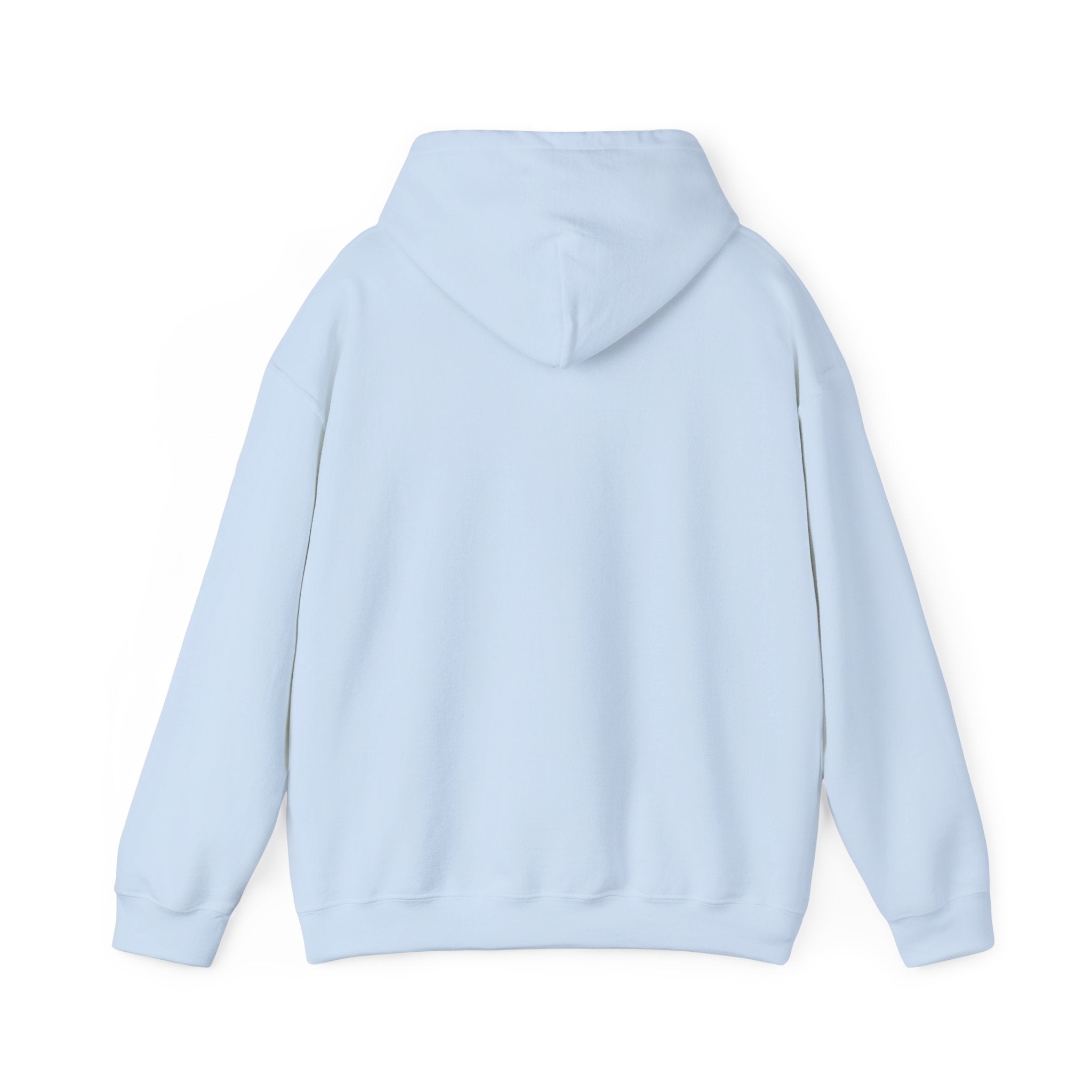 LBI Hoodie – Classic Beach Town Pullover