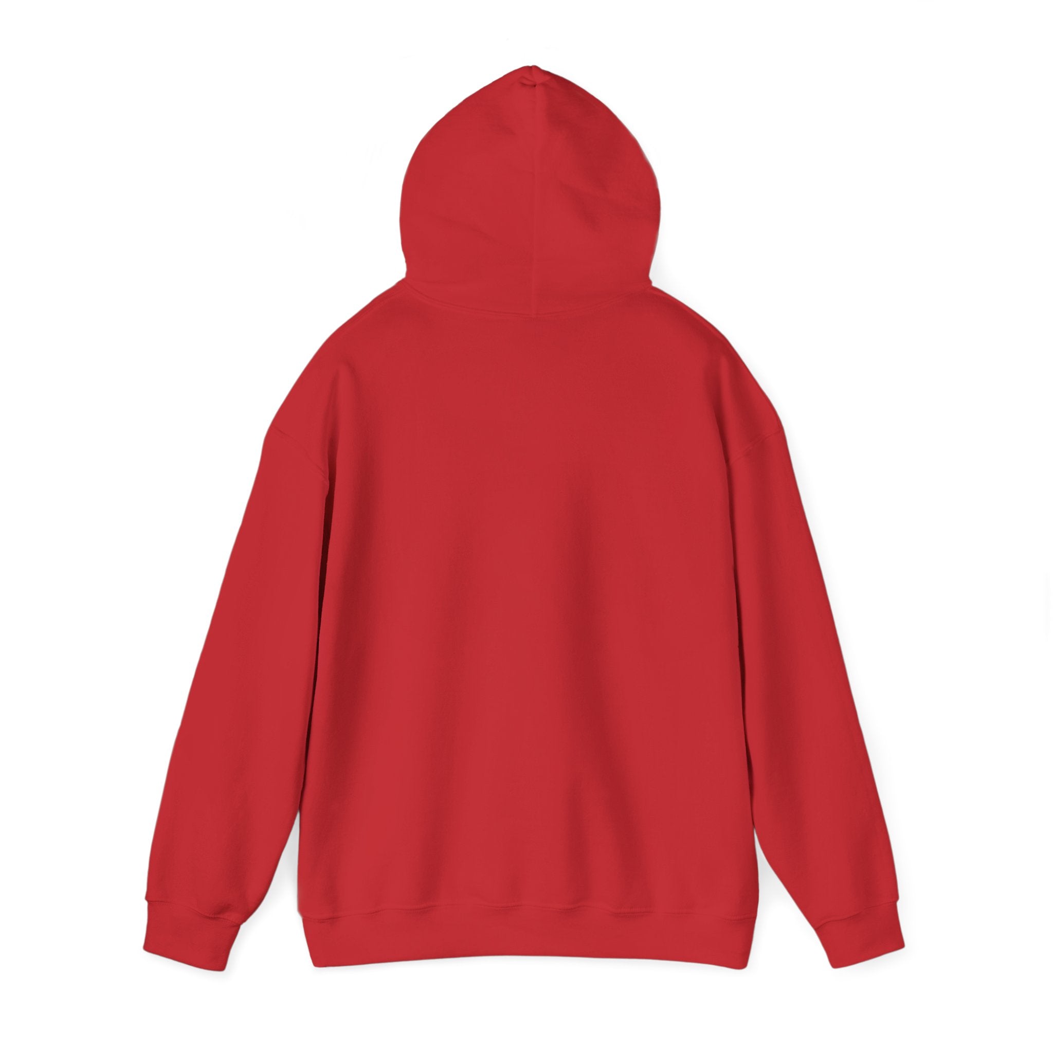 University Crest Hoodie – LBI UNIVERSITY 08008 Collegiate Emblem Hoodie