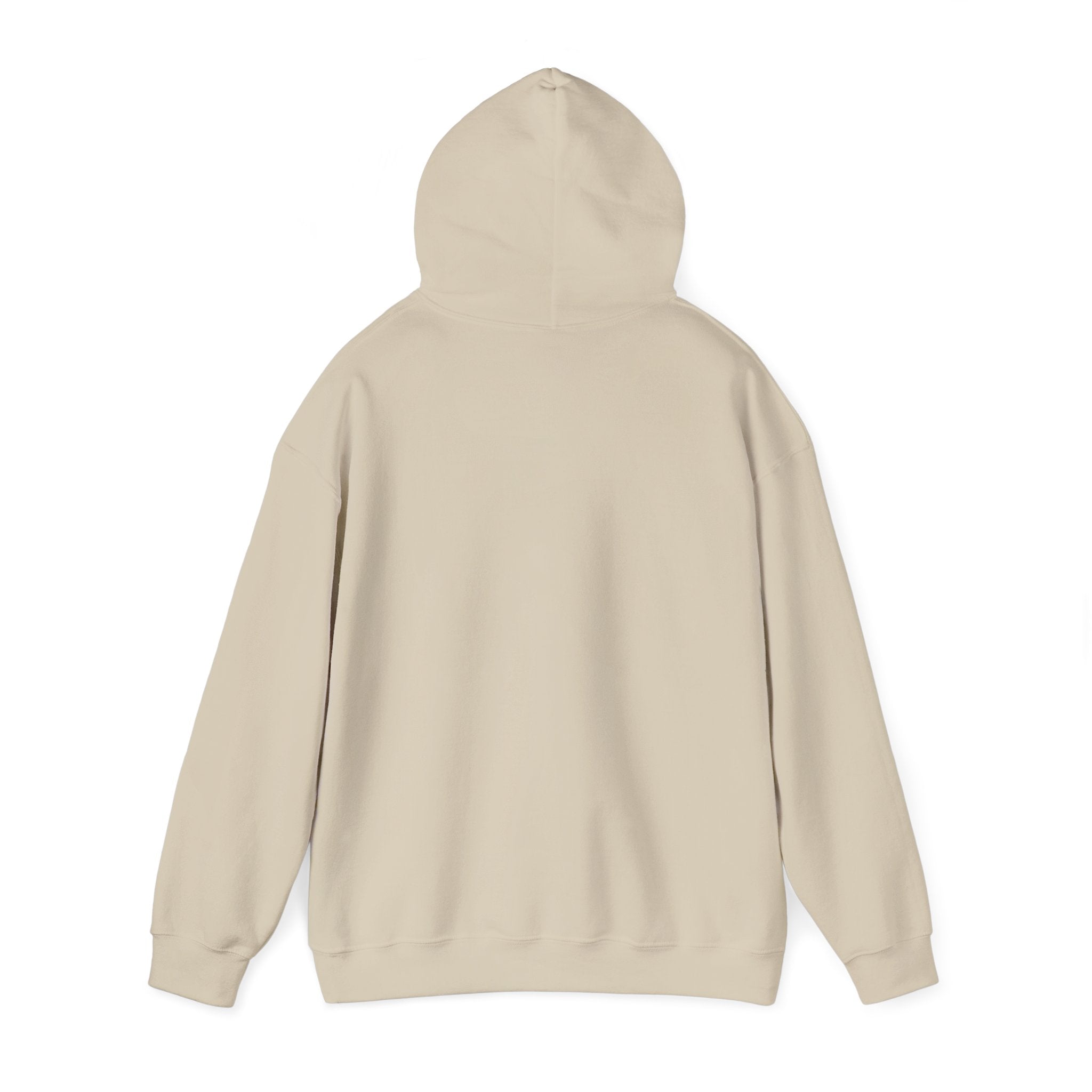 LBI Hoodie – Classic Beach Town Pullover