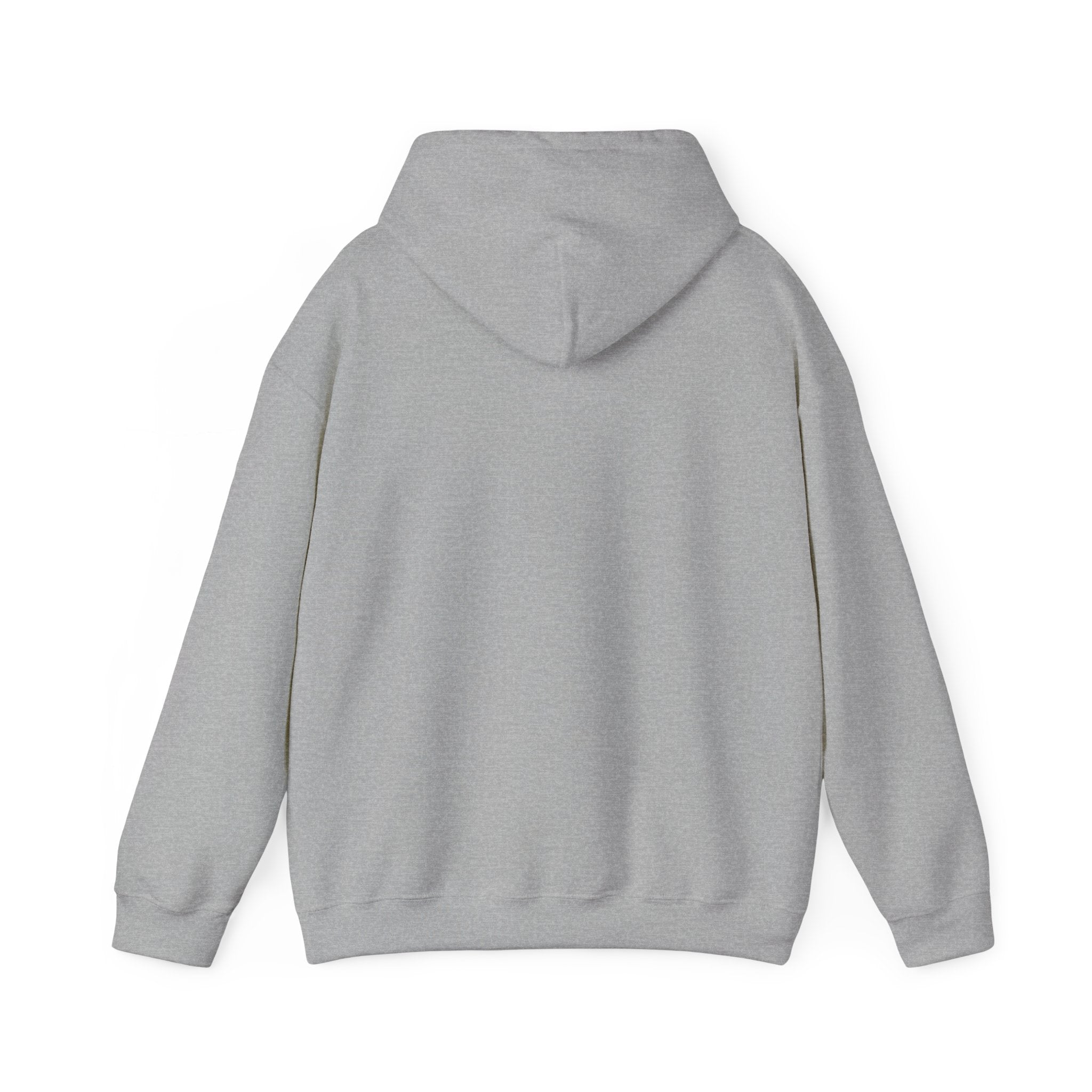 University Crest Hoodie – LBI UNIVERSITY 08008 Collegiate Emblem Hoodie