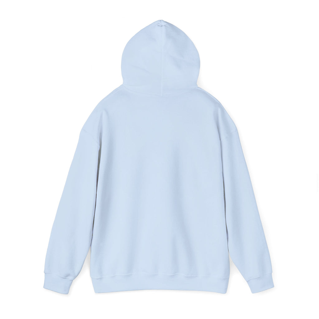 LBI Hoodie – Classic Beach Town Pullover